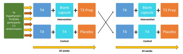 LIONNS-D2 Design Flow Diagram